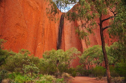 Uluru Sunrise And Guided Base Walk - eAccommodation 14