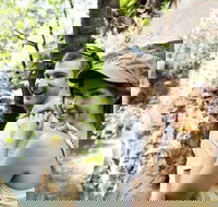 Small-Group Litchfield National Park Day Trip from Darwin