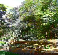 Darwin Afternoon Sightseeing Tour