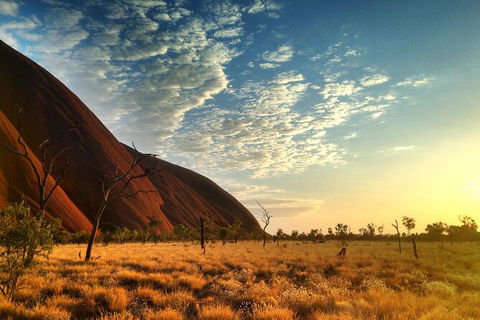 Highlights Of Uluru Including Sunrise And Breakfast - eAccommodation 5