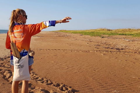 Turtle Tracks Tour To Bare Sand Island From Darwin - eAccommodation 7