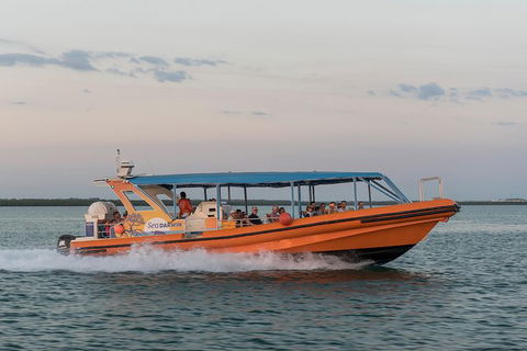 Turtle Tracks Tour To Bare Sand Island From Darwin - eAccommodation 5