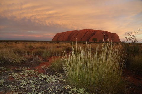 Coach Transfer From Kings Canyon Resort To Ayers Rock Resort - eAccommodation 7