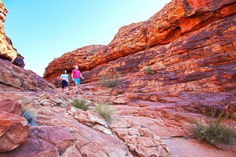 Coach Transfer From Kings Canyon Resort To Ayers Rock Resort - eAccommodation 6
