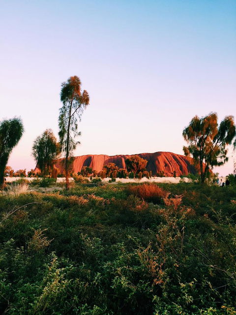 Uluru & Kata Tjuta Sights & Sounds - eAccommodation 3