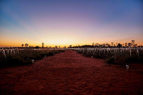Uluru & Kata Tjuta Sights & Sounds - eAccommodation 16
