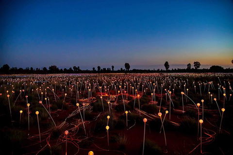 Uluru & Kata Tjuta Sights & Sounds - eAccommodation 8