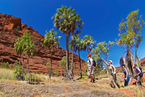 Palm Valley 4WD Tour From Alice Springs - eAccommodation 0