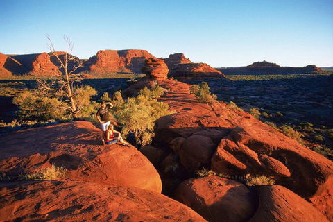 Palm Valley 4WD Tour From Alice Springs - eAccommodation 4