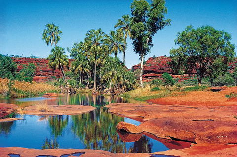 Palm Valley 4WD Tour From Alice Springs - eAccommodation 5