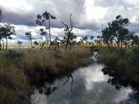 4-Day 4WD Camping Tour: Uluru, Kata Tjuta, And Kings Canyon - eAccommodation 6