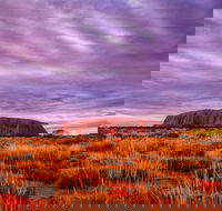 4-Day Camping Trip from Ayers Rock Including Uluru Kata Tjuta and Kings Canyon - eAccommodation