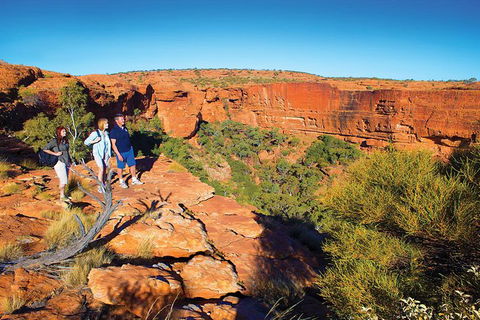 Coach Transfer From Ayers Rock To Kings Canyon - eAccommodation 6