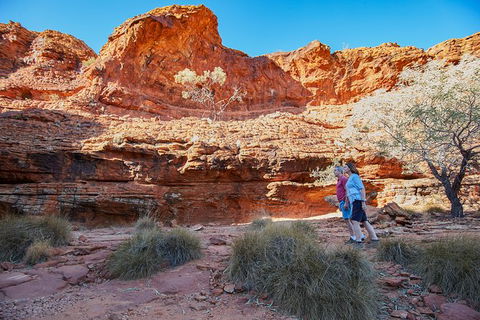 Coach Transfer From Ayers Rock To Kings Canyon - eAccommodation 7