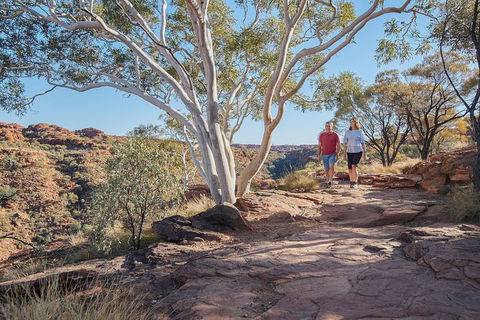 Coach Transfer From Kings Canyon To Alice Springs - eAccommodation 8