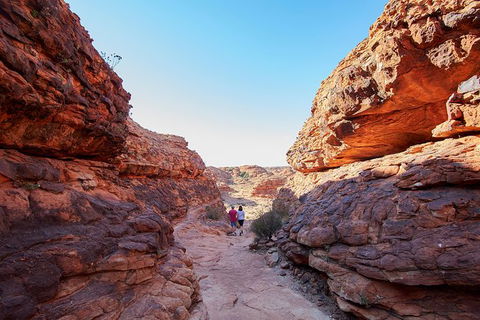 Coach Transfer From Kings Canyon To Alice Springs - eAccommodation 7