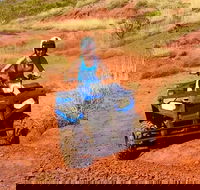 Aussie Outback Air and Land Tour Including Quad Bike Ride - eAccommodation