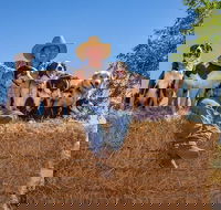 Skip-the-Line Katherine Outback Experience Show Ticket - eAccommodation