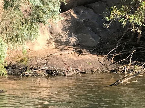Nitmiluk (Katherine) Gorge 3.5-Hour Sunset Dinner Boat Tour - eAccommodation 4