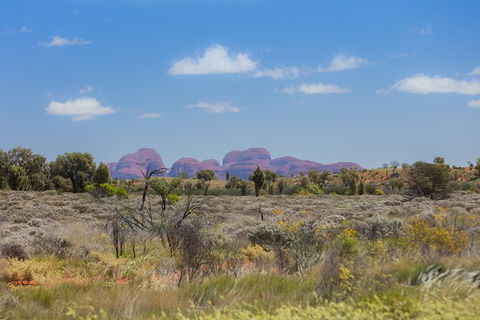 Overnight Uluru (Ayers Rock) Small-Group Camping Tour - eAccommodation 15