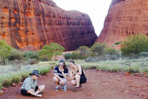 Afternoon Kata Tjuta Small Group Tour - eAccommodation 7
