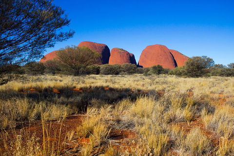 Ayers Rock 4 Tour Combo: Complete Uluru Base Walk At Sunrise, Valley Of The Winds At Sunrise, Kata Tjuta Sunset And Uluru Sunset - eAccommodation 12