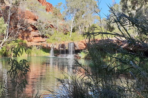 20 Day Darwin To Perth Adventure - eAccommodation 10
