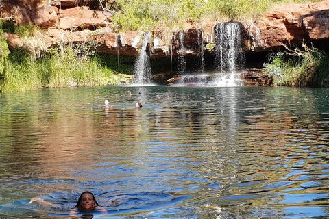 20 Day Darwin To Perth Adventure - eAccommodation 6