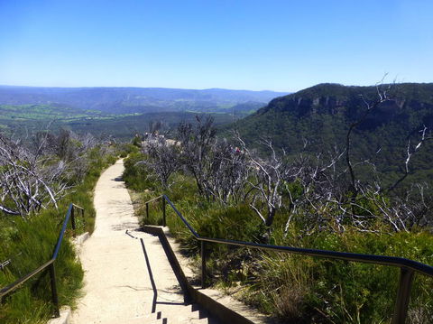 All Inclusive Blue Mountains Small-Group Day Trip From Sydney - eAccommodation 9