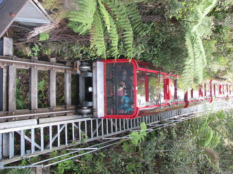 All Inclusive Blue Mountains Small-Group Day Trip From Sydney - eAccommodation 16