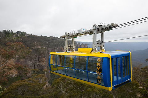 All-Inclusive Blue Mountains Tour In A Luxury Mercedes Sprinter - eAccommodation 10