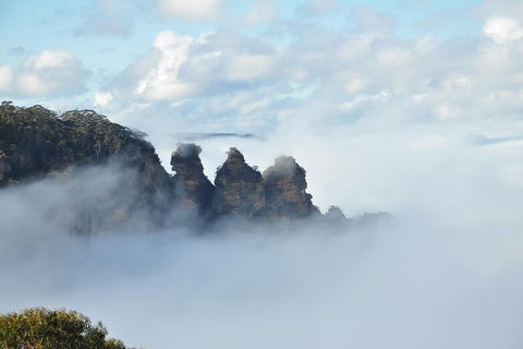 All-Inclusive Blue Mountains Tour In A Luxury Mercedes Sprinter - eAccommodation 15