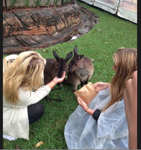 Port Stephens Day Tour With Dolphin Watching, Sandboarding & Australian Wildlife - eAccommodation 15