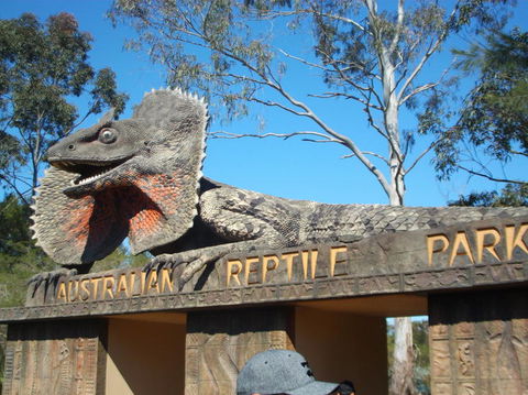 Port Stephens Day Tour With Dolphin Watching, Sandboarding & Australian Wildlife - eAccommodation 7