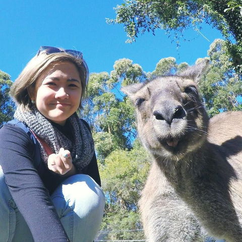 Port Stephens Day Tour With Dolphin Watching, Sandboarding & Australian Wildlife - eAccommodation 12