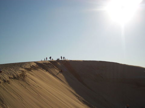 Port Stephens Day Tour With Dolphin Watching, Sandboarding & Australian Wildlife - eAccommodation 14