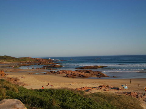 Port Stephens Day Tour With Dolphin Watching, Sandboarding & Australian Wildlife - eAccommodation 4