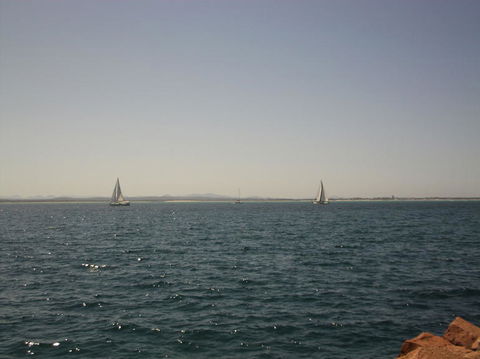 Port Stephens Day Tour With Dolphin Watching, Sandboarding & Australian Wildlife - eAccommodation 3