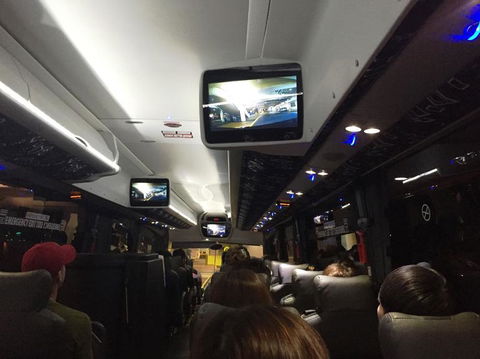 Port Stephens Day Tour With Dolphin Watching, Sandboarding & Australian Wildlife - eAccommodation 16