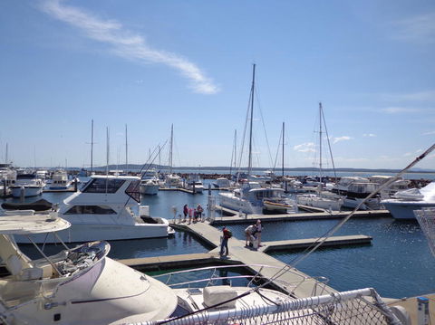 Port Stephens Day Tour With Dolphin Watching, Sandboarding & Australian Wildlife - eAccommodation 24