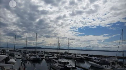 Port Stephens Day Tour With Dolphin Watching, Sandboarding & Australian Wildlife - eAccommodation 8