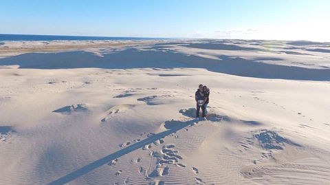 Port Stephens Day Tour With Dolphin Watching, Sandboarding & Australian Wildlife - eAccommodation 10