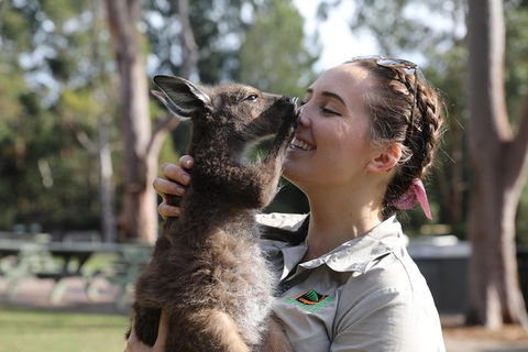 Port Stephens Day Tour With Dolphin Watching, Sandboarding & Australian Wildlife - eAccommodation 1