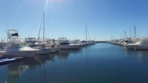 Port Stephens Day Tour With Dolphin Watching, Sandboarding & Australian Wildlife - eAccommodation 9