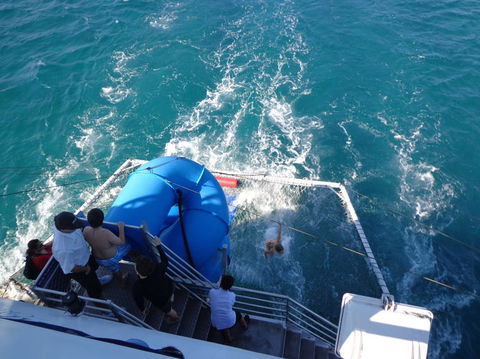 Port Stephens Day Tour With Dolphin Watching, Sandboarding & Australian Wildlife - eAccommodation 22