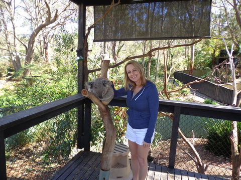 Port Stephens Day Tour With Dolphin Watching, Sandboarding & Australian Wildlife - eAccommodation 25