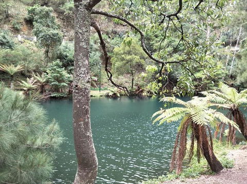 Jenolan Caves And Blue Mountains Tour From Sydney - eAccommodation 2