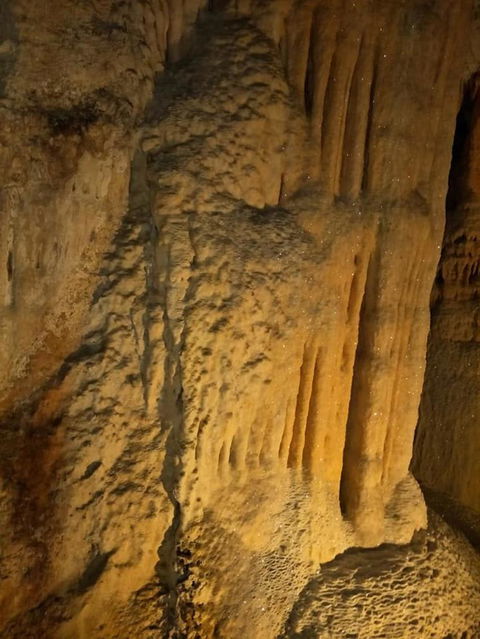 Jenolan Caves And Blue Mountains Tour From Sydney - eAccommodation 7