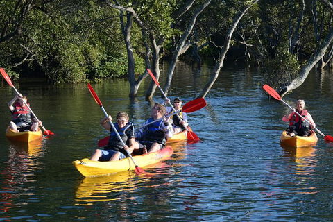Kayak And SUP Guided Tours - eAccommodation 0