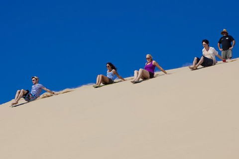 Port Stephens Day Tour From Sydney Including 4WD, Sandboarding And Dolphins - eAccommodation 1